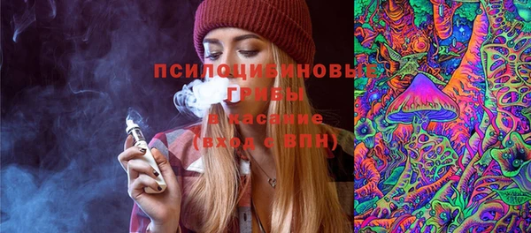 круглые Вяземский