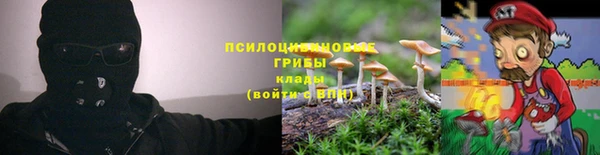 круглые Вяземский