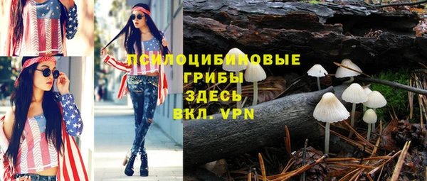 тгк Вязьма