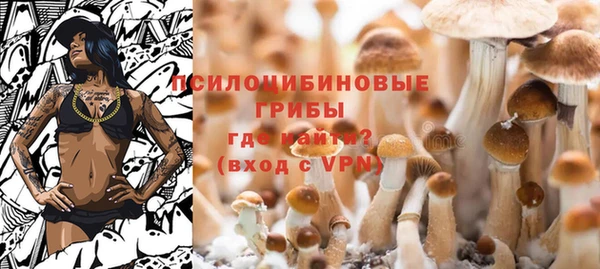 круглые Вяземский