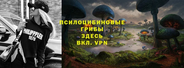 тгк Вязьма